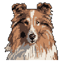 This pixel art portrait captures the gentle gaze of a Shetland Sheepdog or Collie-like dog. Rendered in warm, earthy tones, the low-resolution style evokes a calm and nostalgic feeling.