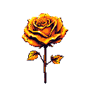 This pixel art showcases a golden rose in full bloom. The warm colors and stark black background create a dramatic and elegant feel, highlighting the flower's beauty.