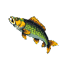 This pixel art features a realistically styled fish swimming upwards, its open mouth and detailed coloration brought to life with a muted palette. The simple composition and stark black background draw all attention to the solitary creature.