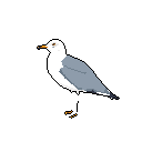 A pixel art seagull, rendered in shades of white, blue-gray, and orange-yellow, stands poised against a stark black background. The bird's simple design and isolated composition create a contemplative mood.