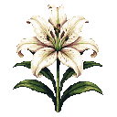 This pixel art showcases a single, elegant lily in full bloom, its soft colors and detailed shading creating a serene and classic botanical portrait against a stark black background.