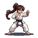A pixelated martial artist stands ready in a fighting stance, her determined gaze and dark belt hinting at expertise. The classic style and focused pose evoke a sense of strength and discipline.