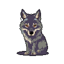 A pixel art wolf sits alert and upright, its piercing orange eyes gazing directly forward with a stoic intensity. The desaturated blues and grays of its fur create a cool, watchful presence.