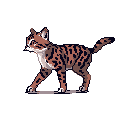 A stylized pixel art image captures a spotted wild cat cub, like a serval or cheetah, in a dynamic stalking pose. The warm earth-toned feline, detailed with striking dark spots, stands out against a stark black background, emphasizing its focused and agile nature.