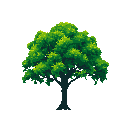 A pixel art image showcases a solitary, mature deciduous tree with lush green leaves and a dark, sturdy trunk, standing starkly against a black void. The simple yet focused design highlights the tree's natural form.