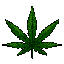 This pixel art image features a stylized cannabis leaf rendered in varying shades of dark green. The isolated leaf is presented front-on against a stark black background, creating a simple yet symbolic image.