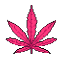 This pixel art image features a vibrant pink cannabis leaf, rendered in a retro style with contrasting shades of pink to show texture. The bold design pops against a stark black background, creating an edgy and striking visual.