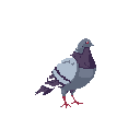A pixelated pigeon stands in profile against a black backdrop, its muted gray and purple tones creating a simple, observational portrait. The bird's relaxed posture and inquisitive gaze capture a moment of quiet observation.