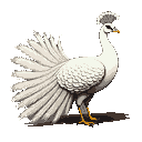 This pixel art image captures the quiet majesty of a white peacock, its fanned tail feathers displayed against a stark black backdrop. The detailed pixel work and subtle shading bring depth and texture to the elegant bird.