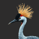 This pixel art image showcases the elegant profile of a Grey Crowned Crane, its intricate golden crown and striking red patch beautifully rendered against a stark background. The close-up framing emphasizes the crane's quiet beauty and unique features, creating a contemplative and captivating portrait.
