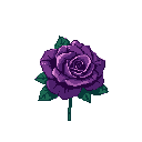 A single, fully bloomed purple rose is rendered in pixel art, its elegant form standing out against a stark black background. The muted, cool color palette lends a moody and romantic feel to this simple yet striking depiction.