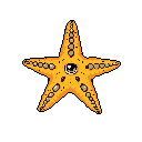 A stylized pixel art starfish with a surprisingly expressive single eye stares out from a void, blending cute and unsettling elements. The warm orange hue and textured details give this retro-style creature a uniquely charming, almost sentient, vibe.
