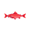 A vibrant red pixel art fish swims across the frame, its streamlined body and slightly open mouth suggesting forward motion. The detailed shading and highlights bring a surprising dimensionality to this simple, monochromatic depiction.
