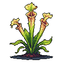 This pixel art showcases a trio of vibrant pitcher plants, meticulously detailed with their characteristic tubular leaves and subtle reddish-brown accents. The striking composition and naturalistic color palette highlight the exotic beauty of these carnivorous plants against a stark background.