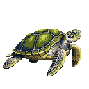 A serene pixel art image showcases a lone green sea turtle gliding through the darkness. The detailed artwork captures the turtle's graceful form and naturalistic color palette, creating a peaceful and majestic portrait.