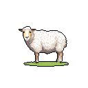 A charming pixel art sheep with fluffy white wool stands attentively on a patch of green grass. The simple design and muted palette create a peaceful and endearing image of this woolly creature.