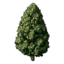 This pixel art features a detailed, stylized evergreen tree or bud with vibrant red accents, creating a simple yet captivating image. The intricate texture and contrasting colors bring a touch of festive nature to life in pixel form.