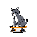 This charming pixel art features a cute gray and white cat with bright orange eyes, playfully perched on a vibrant orange skateboard. The simple design and cheerful vibe make for an eye-catching image against a stark black background.