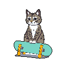A charming pixel art image features a curious gray tabby cat perched atop a bright teal skateboard with orange wheels. The simple, vibrant design focuses on the cat's soft expression and unusual ride, creating a playful and cute scene.
