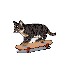A cool tabby cat shreds on a skateboard in this charming pixel art piece. The dynamic pose and earthy tones against a stark black background create a playful yet striking image.