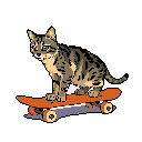 A pixelated tabby cat shreds on a bright orange skateboard, its neutral expression adding to the whimsical charm of this unexpected pairing. The simple design and contrasting colors make the cat stand out against the stark background.