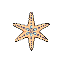 This pixel art image features a stylized, six-pointed star-like object in peach and blue, adorned with patterned dots. Its abstract design and retro aesthetic evoke a sense of magic or a simplified sea creature.