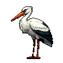A detailed pixel art stork stands alert, showcasing its white feathers, dark wing tips, and striking orange-red beak and legs. The high-contrast color scheme and careful dithering bring a realistic, observational feel to this pixelated bird portrait.