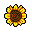 A cheerful pixel art sunflower, rendered in warm yellows and browns, blooms against a stark black backdrop. The simple, symmetrical design evokes a nostalgic charm, reminiscent of classic video game graphics.