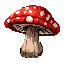 A vibrant pixel art fly agaric mushroom, complete with its iconic red and white-spotted cap, stands out against a stark black background. The detailed shading and classic style evoke a sense of nostalgic charm and whimsical mystery.