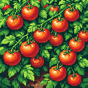 This pixel art showcases a thriving tomato plant bursting with ripe, red fruit. The dense foliage and abundant tomatoes create a vibrant and nostalgic image of natural beauty and a bountiful harvest.
