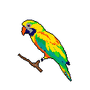 A vibrantly colored pixel art parrot, rendered in striking yellow, green, and teal hues, perches calmly on a branch against a stark black background. The cheerful bird gazes upwards, its exotic plumage creating a visually captivating focal point.