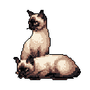 Pixel art depicts two Siamese cats, one alert and seated, the other relaxed and lying down, both rendered in muted tones against a stark black backdrop. The image captures a moment of quiet elegance, highlighting the distinctive features and serene poses of the feline pair.