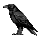 A solitary pixel art crow, rendered in shades of gray, stands in quiet observation, its detailed feathers and sharp beak conveying a sense of dignity and mystery.