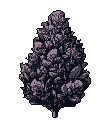 This pixel art piece showcases a detailed cannabis bud rendered in somber purple-grays against a stark black backdrop. The isolated presentation and muted palette create a mysterious and observational mood.