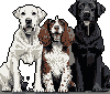 Pixel Art Image