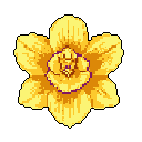 This pixel art showcases a radiant daffodil, its vibrant yellow petals and striking purple-rimmed corona blooming against a stark black backdrop. The simple yet elegant design evokes springtime charm with a classic, retro aesthetic.